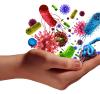 main humaine tenant des cellules microscopiques de virus et de bactéries cancéreuses comme métaphore de la maladie pathogène