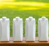 Quatre cartons de lait alignés sur un banc avec un fond d'herbe verte.